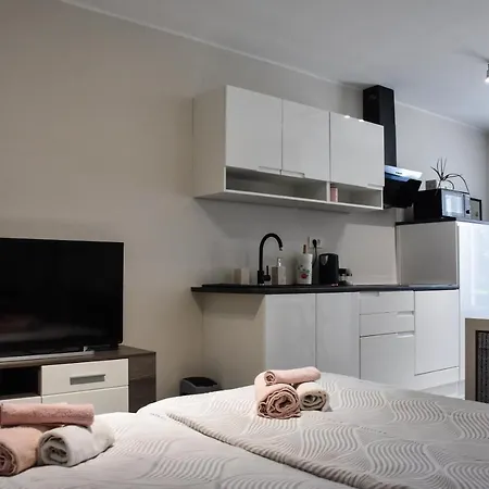 Apartma Darsi Apartment